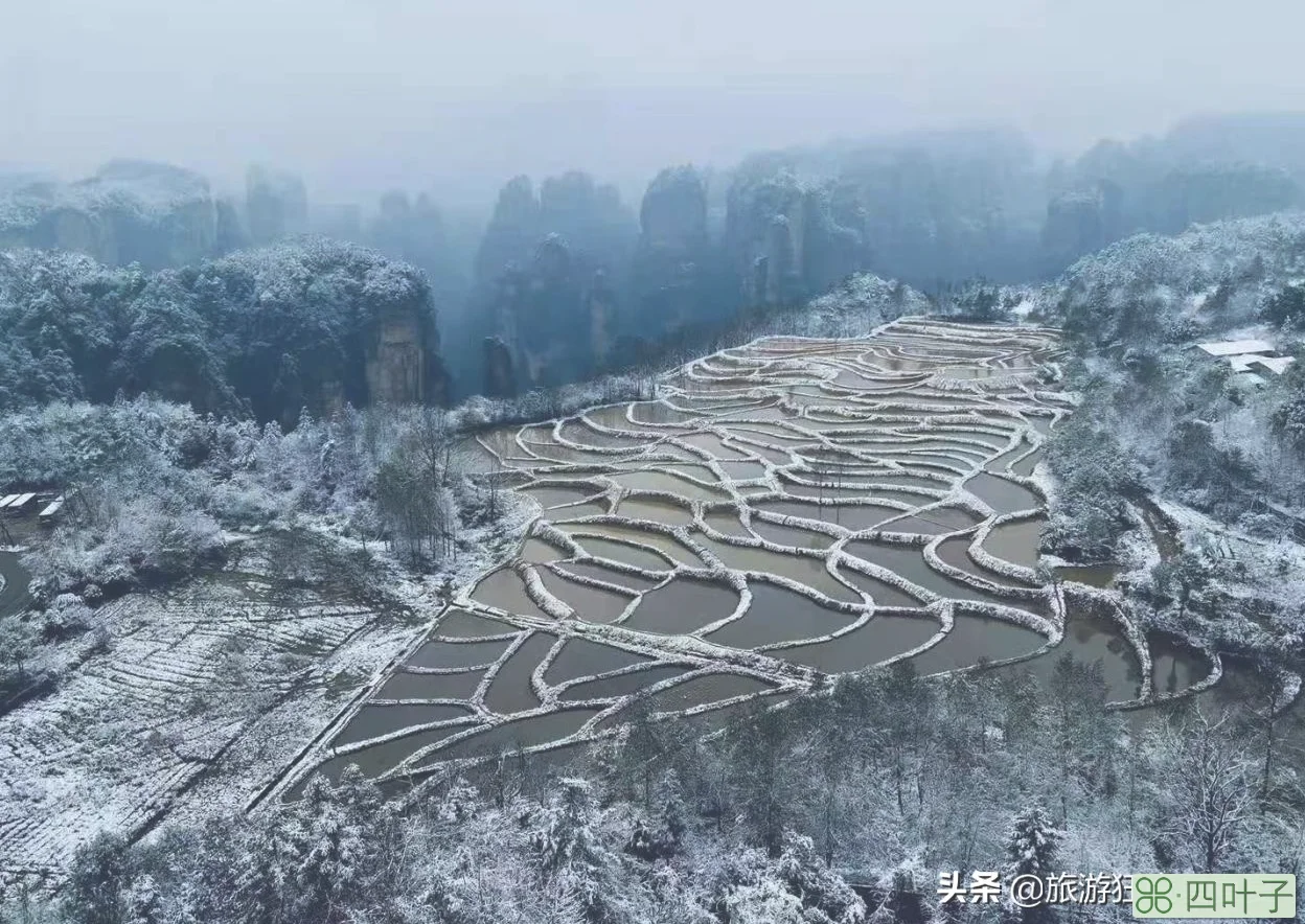 张家界旅游必看攻略(旅游攻略景点必去)插图13 张家界旅游必玩的4个景点,没去过等于白去,老司机的经验之谈