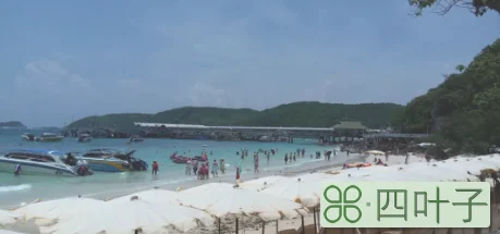 格兰岛一日游好不好(自己去芭提雅