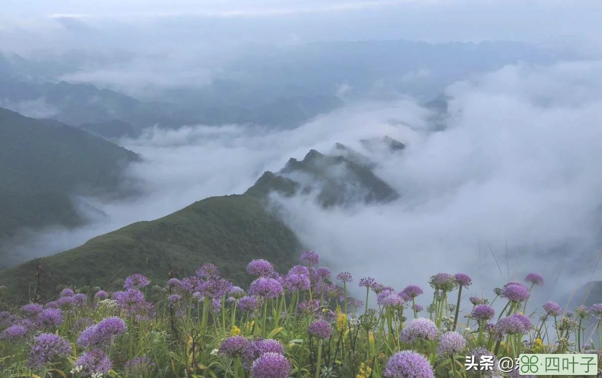 贵州旅游十大景点排名(旅游攻略路线最佳路线)插图8 贵州最值得去旅行的十大景点,走遍神州大地,最美多彩贵州