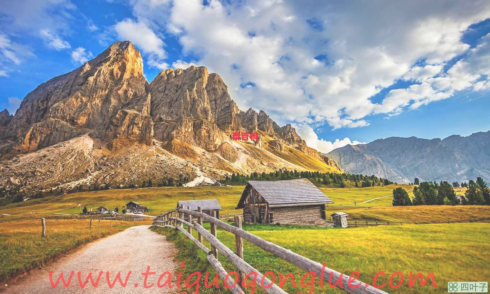 天目山旅游攻略(天目山旅游景点攻