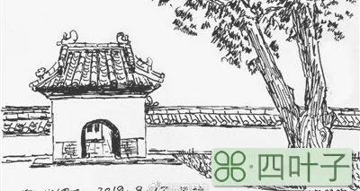墙根网(墙根网顺义)