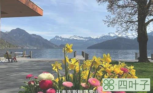 瑞士十大最美小镇之一的玫瑰小镇韦吉斯插图(1)