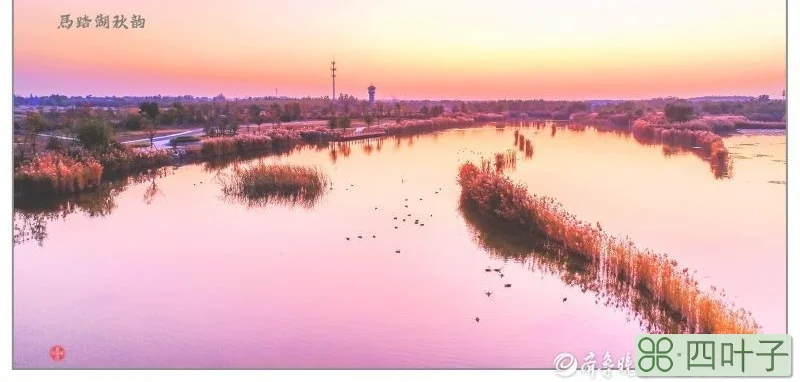 马踏湖(淄博马踏湖有什么好玩的)