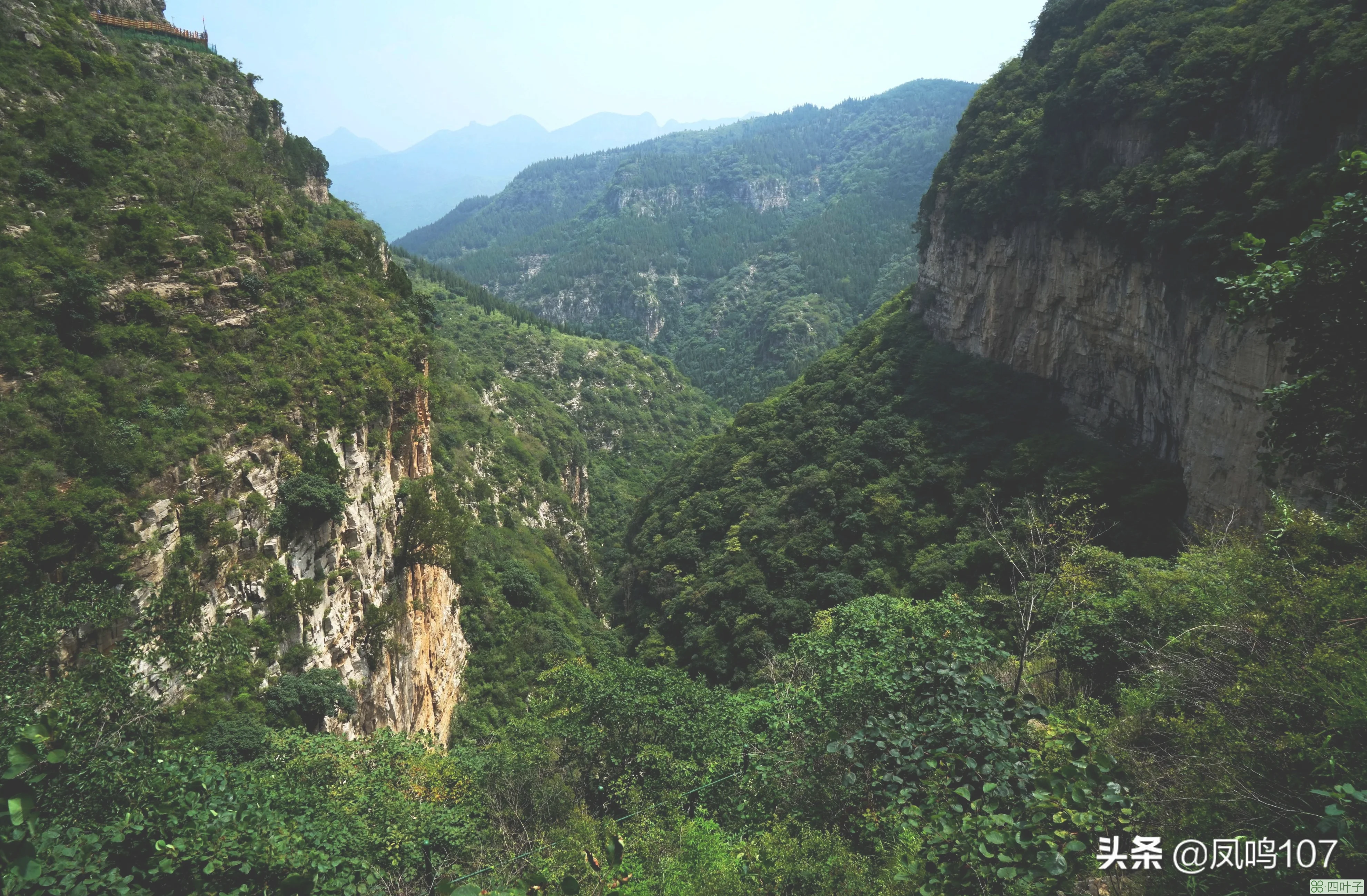 青州黄花溪(青州黄花溪风景区旅游攻略)插图(11)
