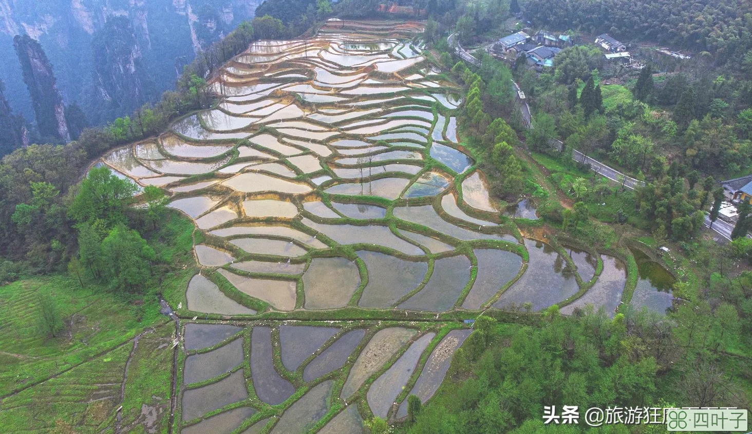张家界旅游必看攻略(旅游攻略景点必去)插图8 张家界旅游必玩的4个景点,没去过等于白去,老司机的经验之谈