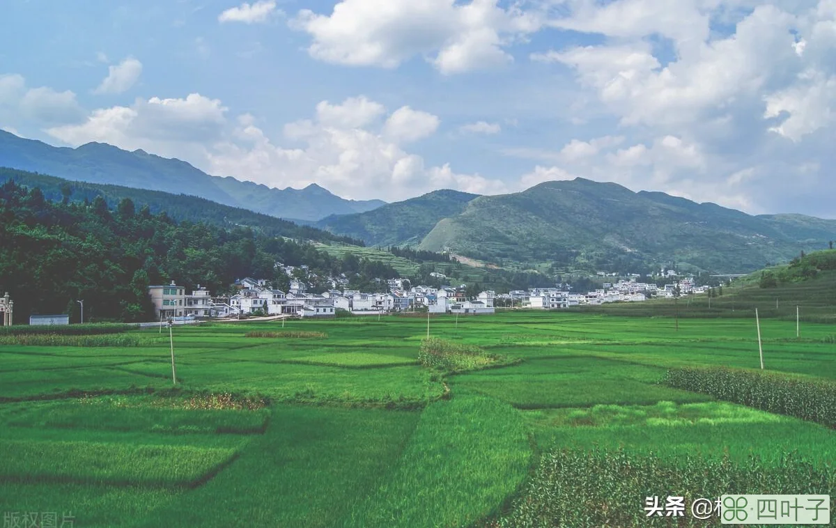 中国避暑胜地(四大避暑胜地排名)