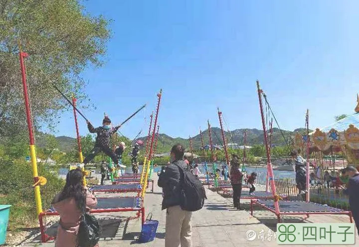 世博园人气爆棚！蓝天白云、绝美风车加花海，3天5万人进园打卡