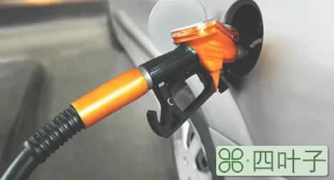 三亚哪里好玩又便宜(三亚最值得玩的地方推荐)插图(5) 三亚哪里好玩又便宜(三亚最值得玩的地方推荐)插图(5)