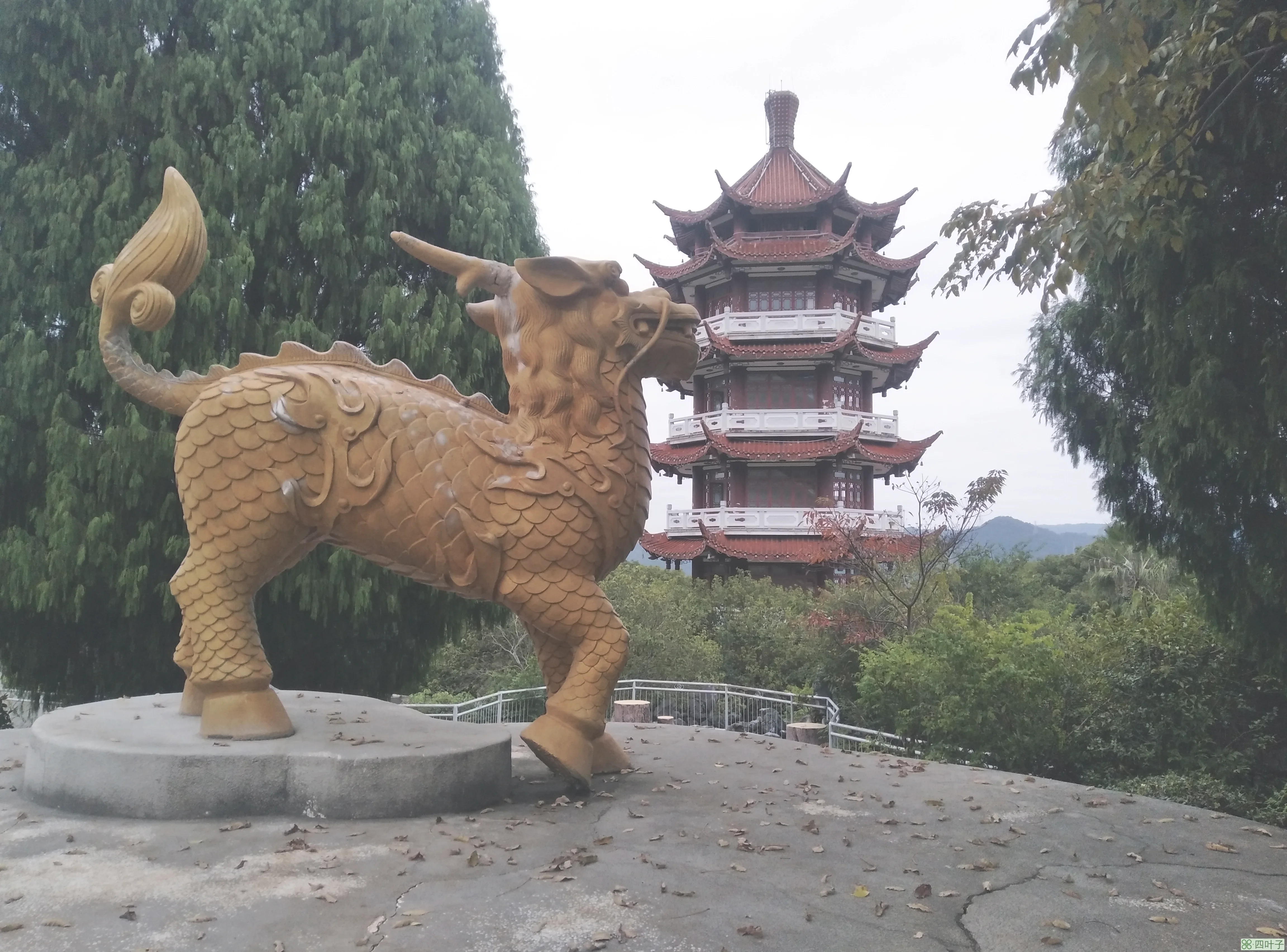 游记：在三明爬一座山，麒麟山