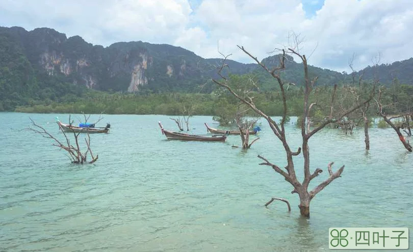 泰国甲米住宿推荐(甲米自助游住宿最全攻略)插图(9) 泰国甲米住宿推荐(甲米自助游住宿最全攻略)插图(9)