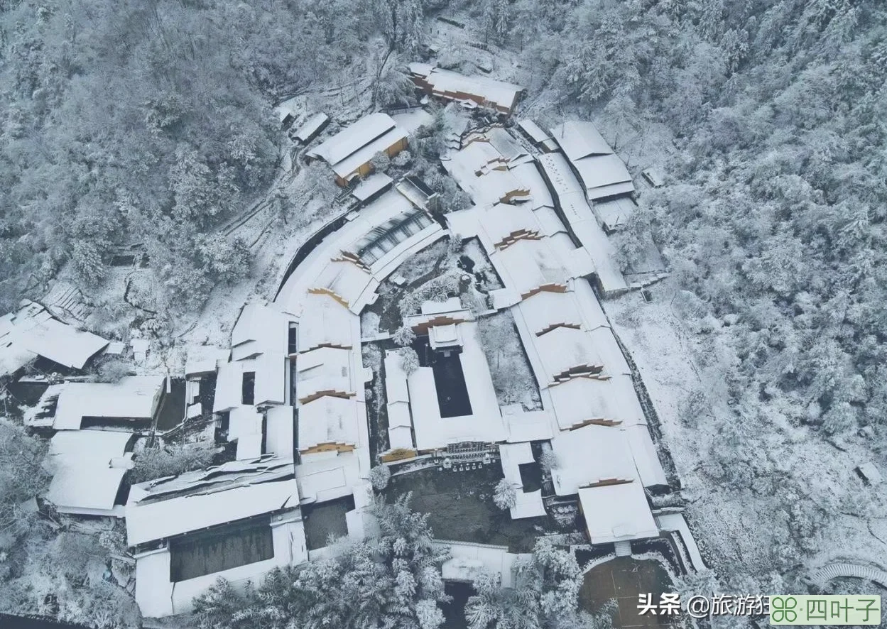 张家界旅游必看攻略(旅游攻略景点必去)插图10 张家界旅游必玩的4个景点,没去过等于白去,老司机的经验之谈