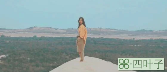 越南美奈旅游景点(越南美奈旅游自由行攻略)