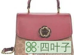 适合妈妈用的化妆品品牌推荐