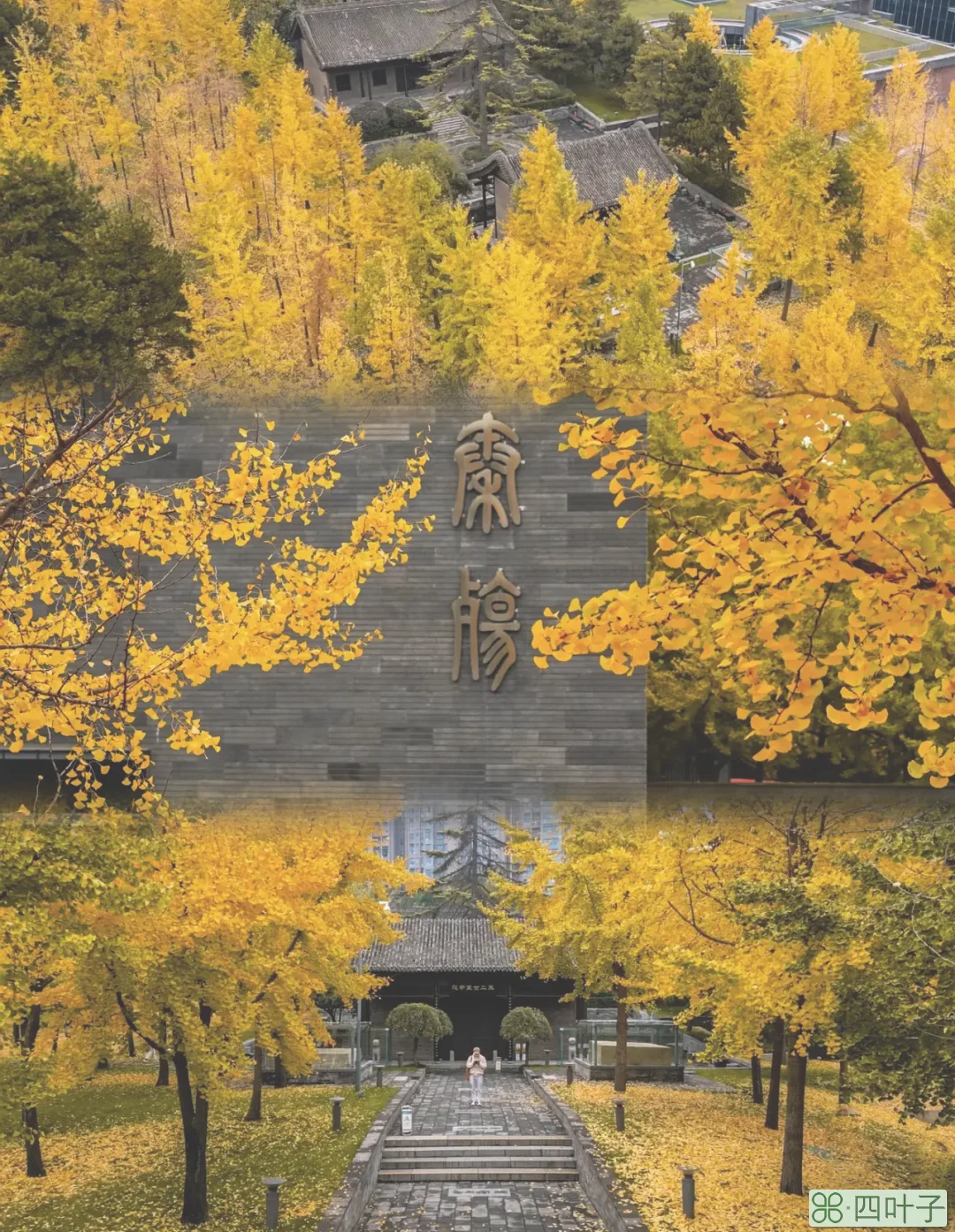 大雁塔南广场(大雁塔南广场和北广场哪个好玩)