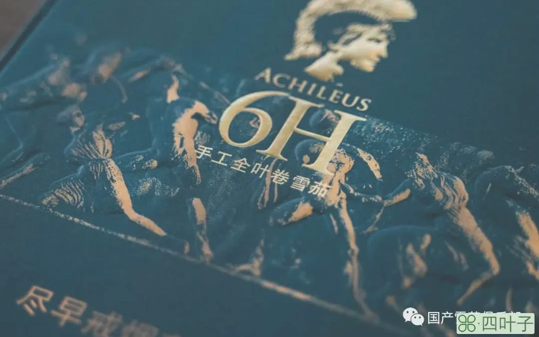 将军6H | 泰山雪茄亲民入门茄