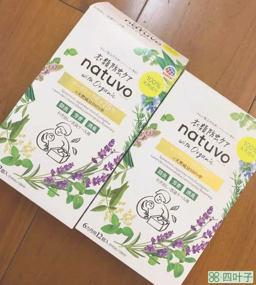 提升幸福感的家居用品(8个便宜实用提高幸福感的东西)插图(6)