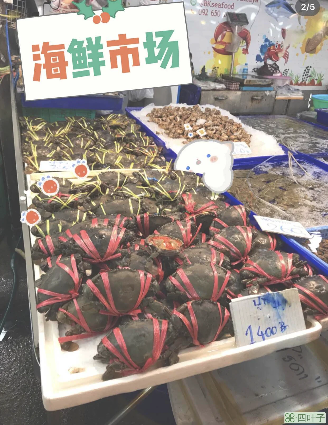 泰国芭提雅周边旅游景点(芭提雅一日游必去9个景点)
