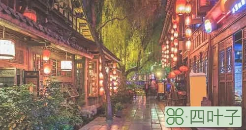 去成都自由行怎么玩(成都旅游自由