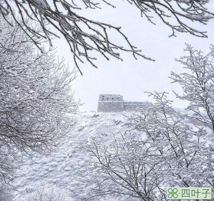 八达岭长城简介(八达岭长城的简单介绍)