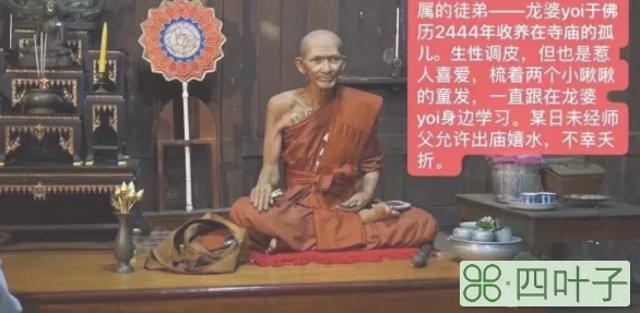 宋春天童佛牌有啥功效(宋春天童价格及详细介绍)插图(7)