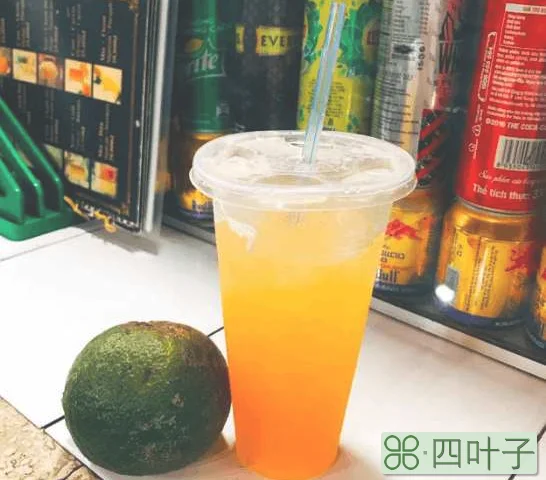 越南西贡好玩吗(越南西贡旅游景点及游玩攻略)插图(14)