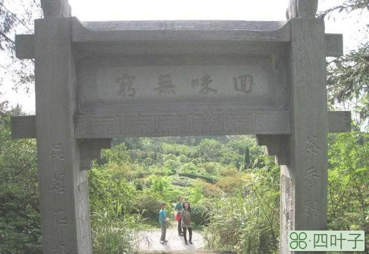 重庆周边1日游自驾游最佳路线推荐
