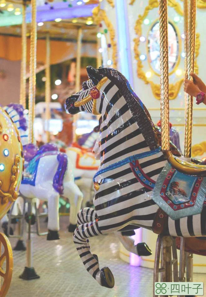 曼谷摩天轮夜市攻略(曼谷摩天轮夜市地址及营业时间)插图(18) 曼谷摩天轮夜市攻略(曼谷摩天轮夜市地址及营业时间)插图(18)