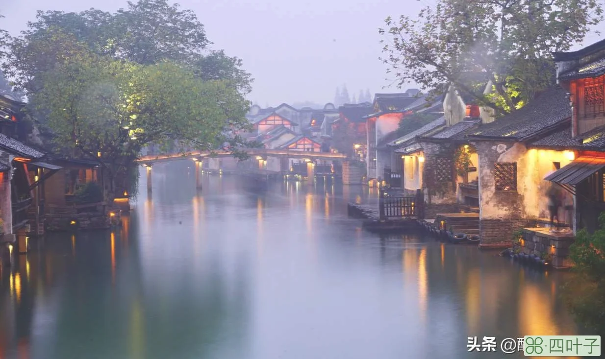 乌镇主要景点介绍(江南乌镇的介绍