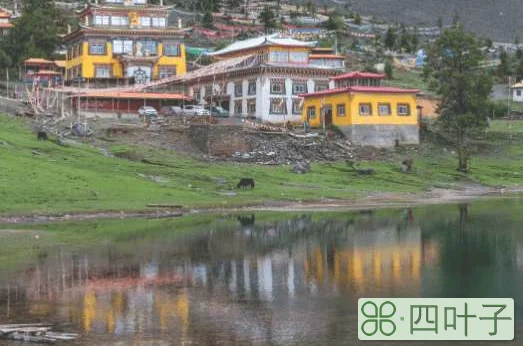 川西有哪些旅游景点(川西值得去的6个景点)插图(12)