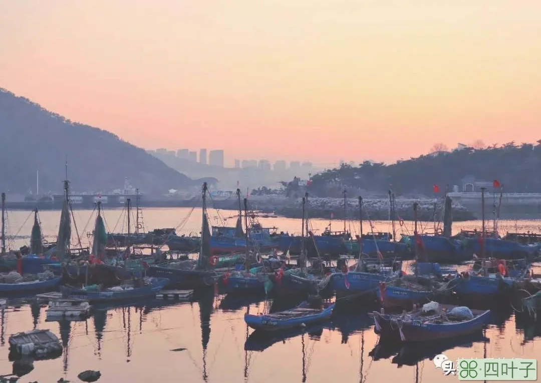 大连景点丨渔人码头