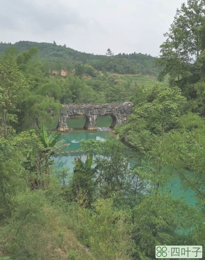 贵州游玩攻略(贵州旅游攻略7个必去景点推荐)