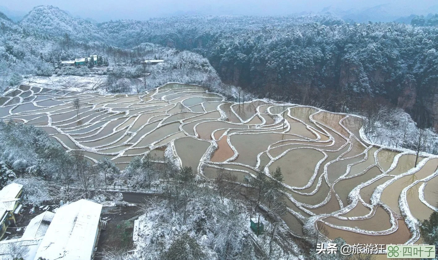 张家界旅游必看攻略(旅游攻略景点必去)插图9 张家界旅游必玩的4个景点,没去过等于白去,老司机的经验之谈