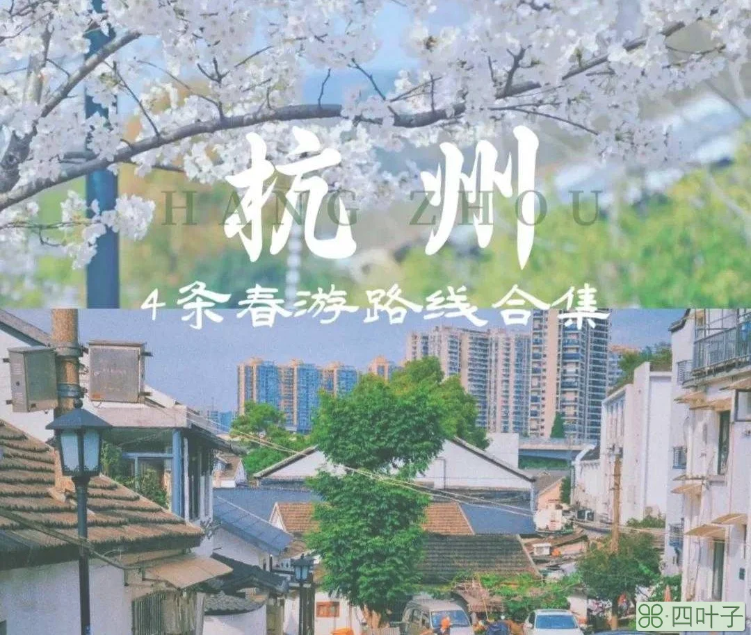 杭州适合春游的地方(杭州春季旅游4条最佳路线)