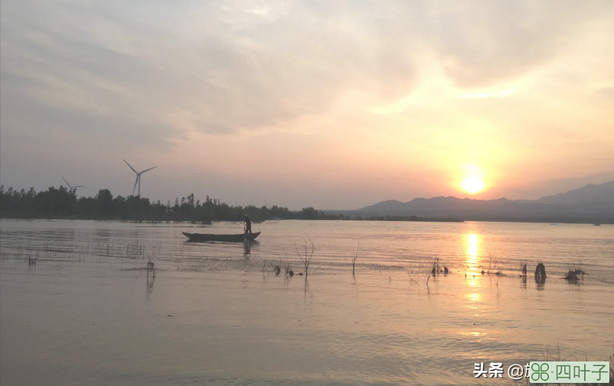 桃林口水库插图(2)