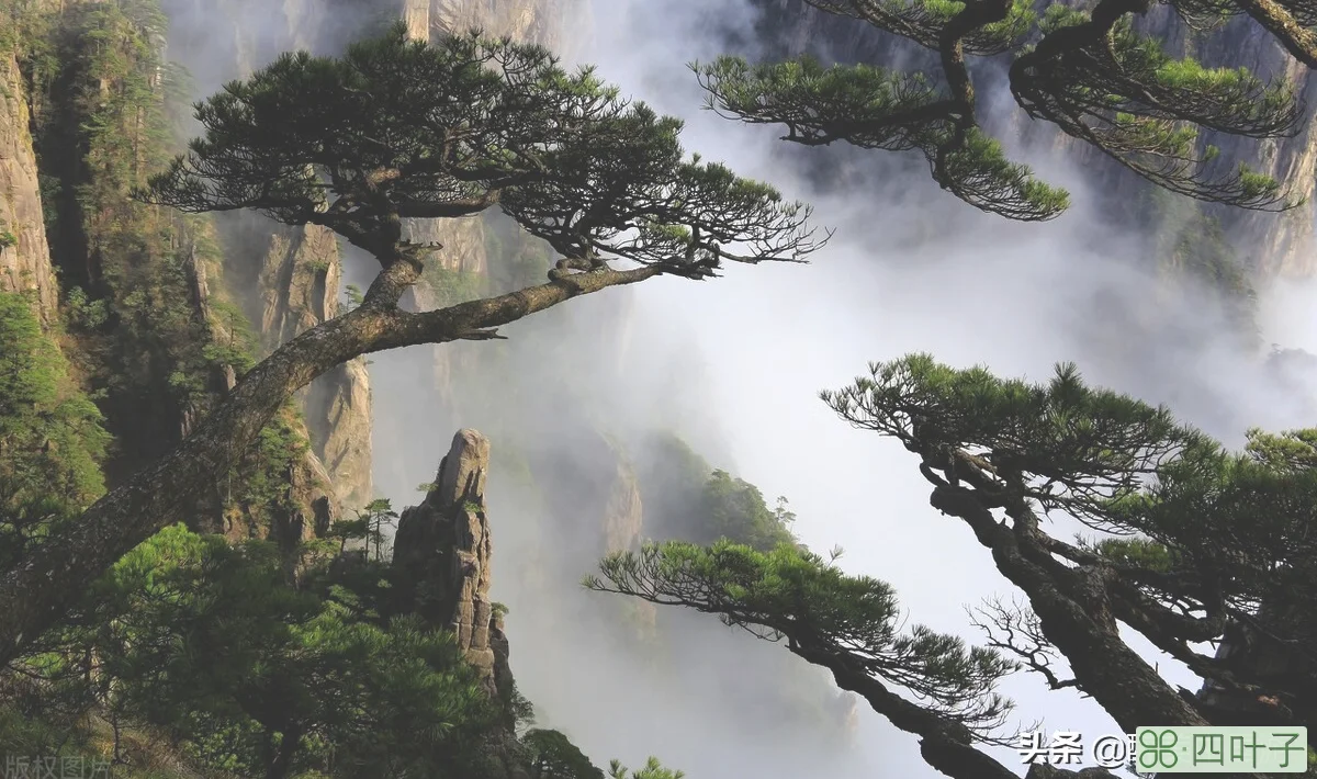 两日一夜游黄山，5个最佳景点美轮美奂，适合结伴游玩
