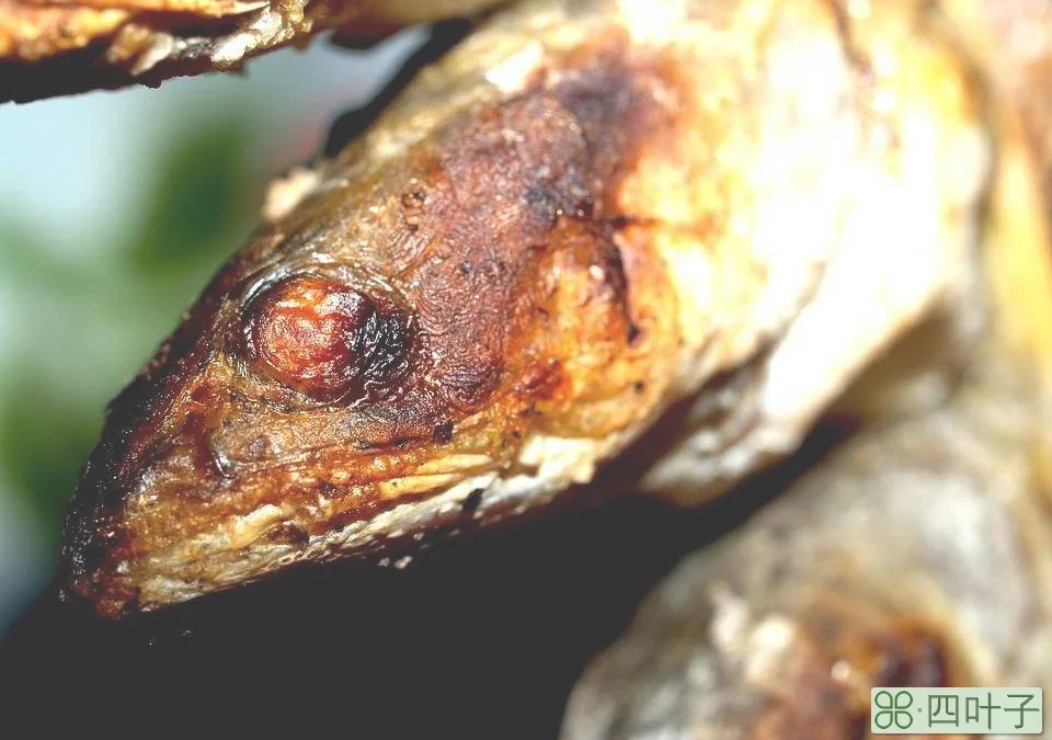 泰国芭提雅特色菜(芭提雅10大必吃特色美食)插图(8)