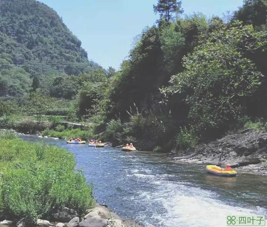 来千岛湖不能错过这八个景点，看了就心动