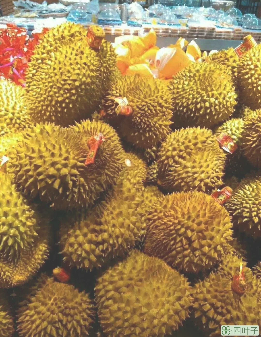 金枕榴莲怎么挑选(挑泰国金枕头榴