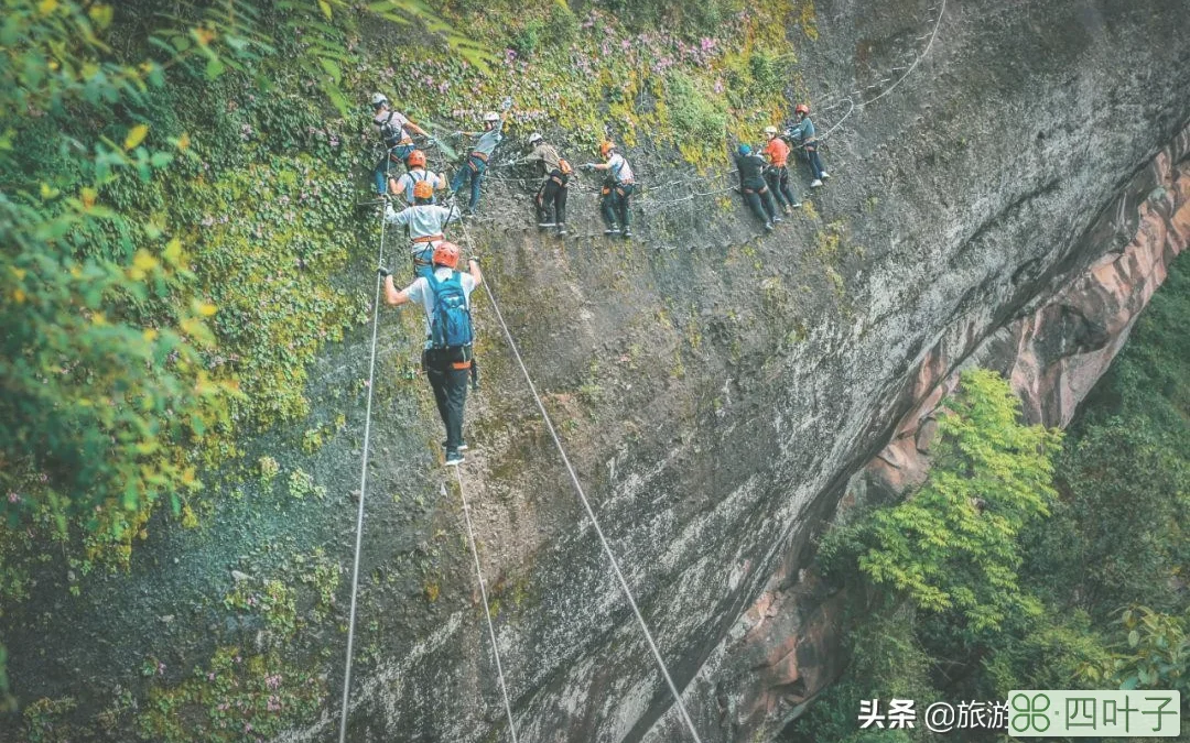 张家界旅游必看攻略(旅游攻略景点必去)插图7 张家界旅游必玩的4个景点,没去过等于白去,老司机的经验之谈