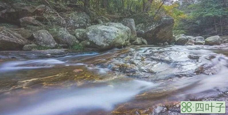 皖美春游｜山高水长鸟语花香，天堂寨春日好风光
