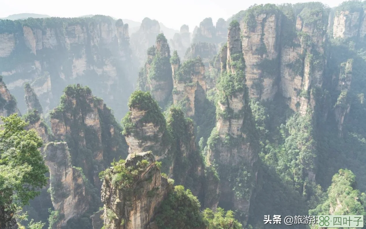 张家界旅游必去景点介绍(张家界必