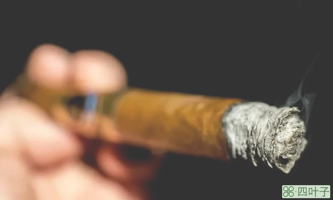 雪茄测评——塔图稀有大酒店