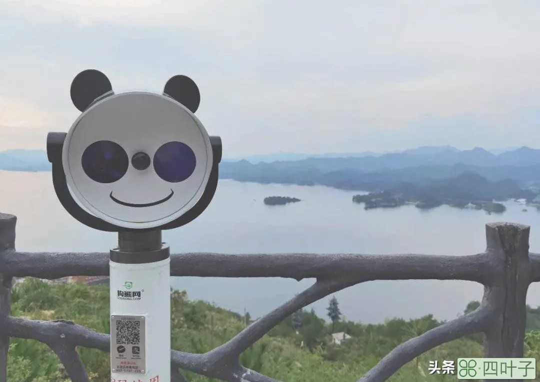 秋天总要去一次千岛湖 l 千岛湖秋游全攻略，建议收藏