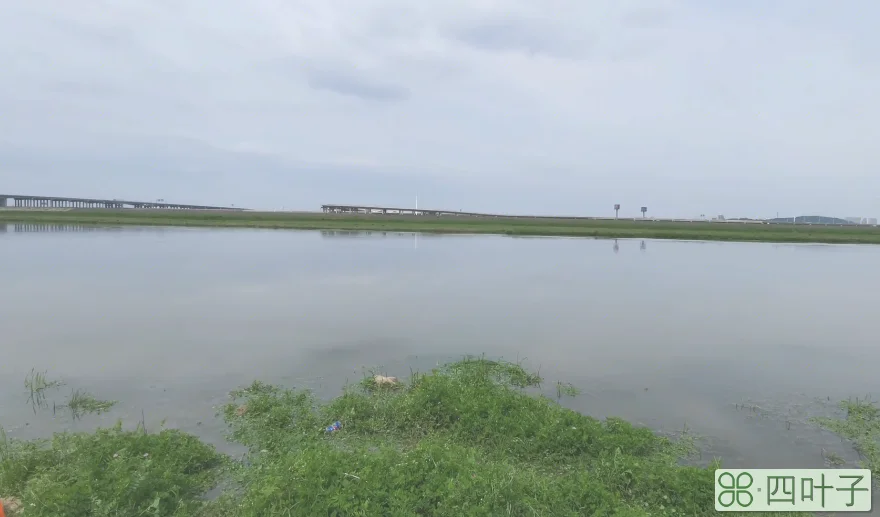 湖北安陆出发自驾游最可爱景点攻略推荐