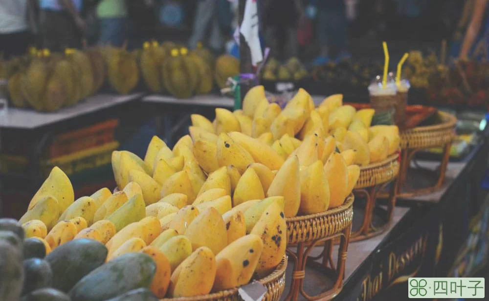 曼谷摩天轮夜市攻略(曼谷摩天轮夜市地址及营业时间)插图(12) 曼谷摩天轮夜市攻略(曼谷摩天轮夜市地址及营业时间)插图(12)