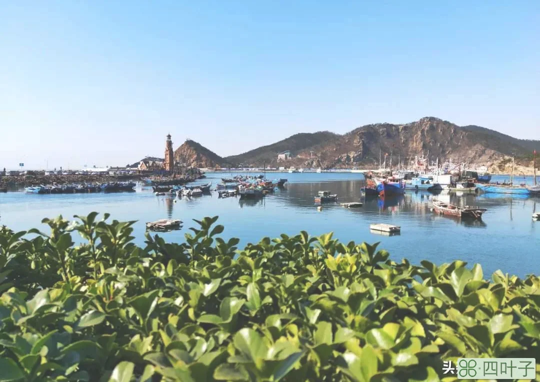 大连渔人码头值得去吗(大连渔人码