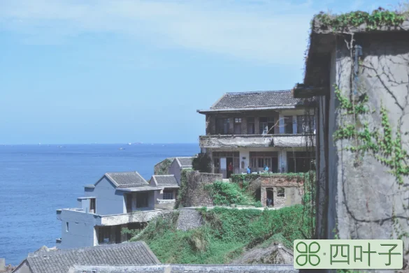 上海枸杞岛三日游攻略(枸杞岛三天两晚旅游费用及行程)插图(13)