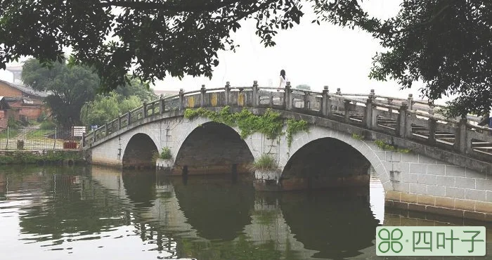 广东省四个自驾游热门目的地推荐给你