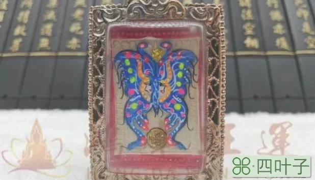 蝴蝶牌心咒怎么念(浅谈古巴杰士纳蝴蝶牌心咒)插图(3)