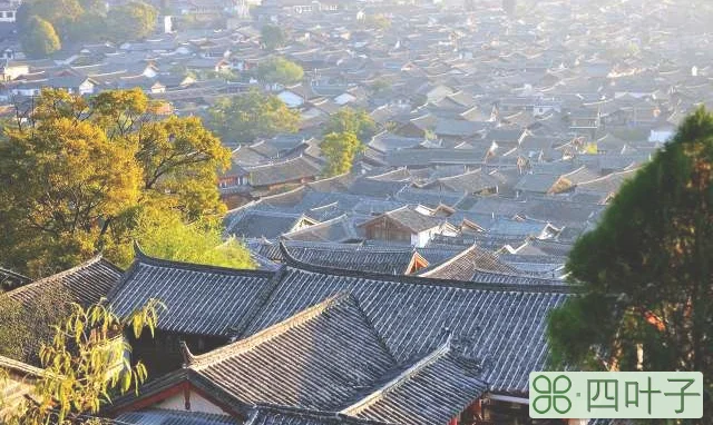 云南丽江旅游景点(丽江旅游攻略必去7个景点)